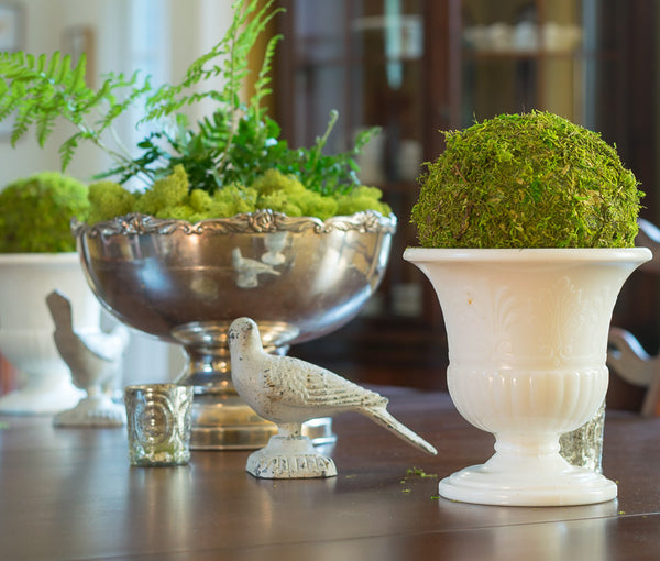 Preserved Moss Balls (4″, 5″ & 6″)