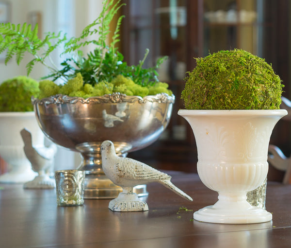 Natural Beauty: 4-Inch Moss Ball Decorative Bowl Filler – TCTCrafts