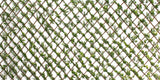 Faux Boxwood Willow Lattice Screen - 39 X 78"