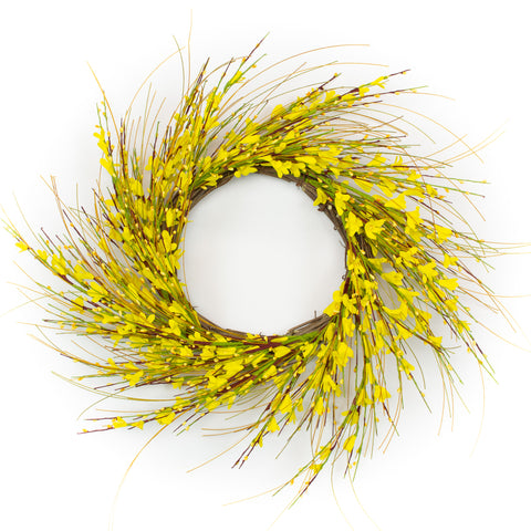 Golden Forsythia Wreath - 22 Inch