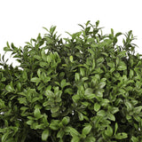 UV Boxwood Ball Tree 16 X 48" Topiary