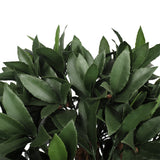 UV Bay Laurel Triple Ball Topiary - 60 Inch