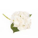 Real Touch Hydrangea Stems - Ivory