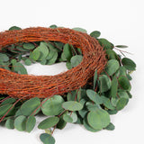 Silver Dollar Seeded Eucalyptus Wreath - 24 Inch