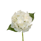 Real Touch Hydrangea - Ivory - 6 Inch X 14 Inch