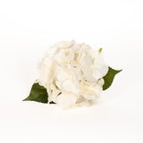 Real Touch Hydrangea Stems - Ivory