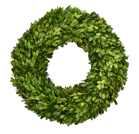 Boxwood Wreath Preserved - 16 Inch