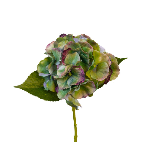 Real Touch Hydrangea Stems - Antique Green