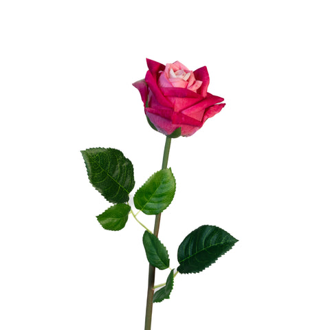 Real Touch Dutchess Rose Stem - Fushia