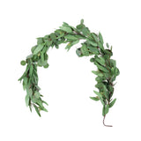 Mixed Seeded Eucalyptus Garland - 60 Inch