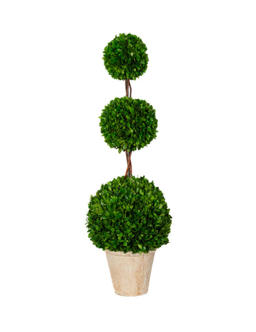 Preserved Boxwood Topiary - Triple Ball - 40 Inch