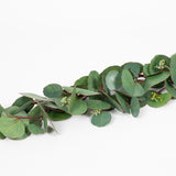 Silver Dollar Seeded Eucalyptus Garland - 60 Inch