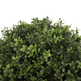 UV Boxwood Ball 24 X 34" Topiary