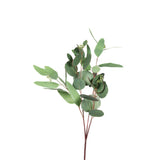 Mixed Seeded Eucalyptus Stem - 32 Inch