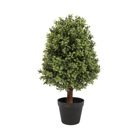 UV Boxwood Oval 24 Inch Topiary