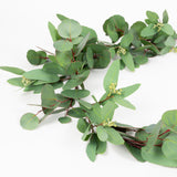 Mixed Seeded Eucalyptus Garland - 60 Inch