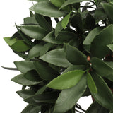 UV Bay Laurel Ball Tree - 36 Inch