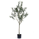 Olive Tree - Artificial - 59 Inch