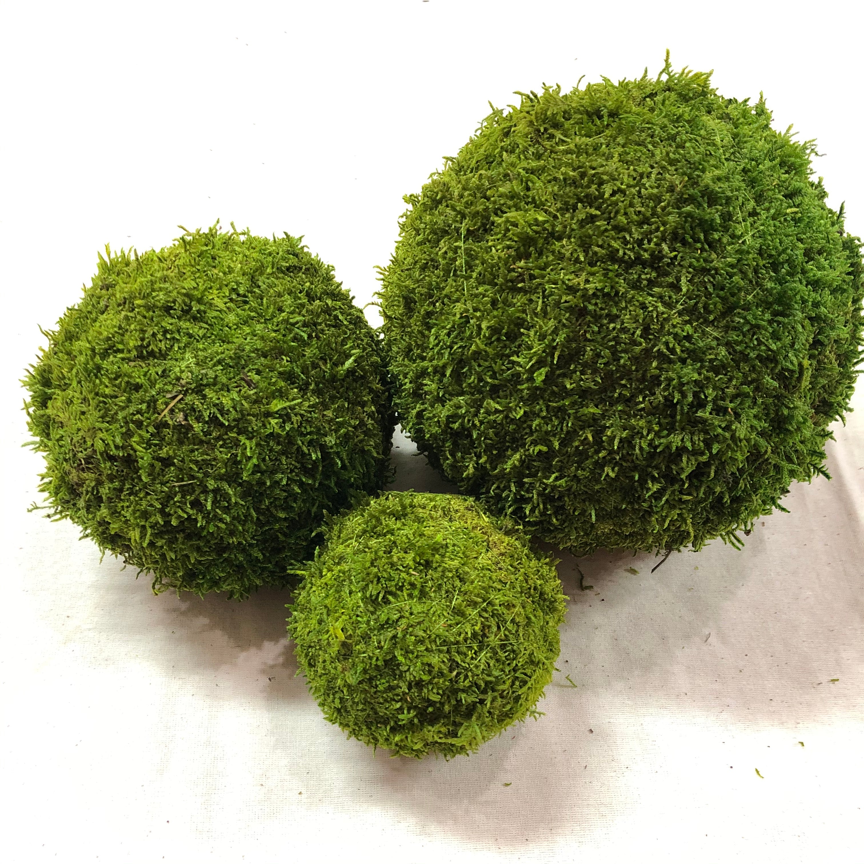 Large Moss and Greenery Ball - Kelea's Florals