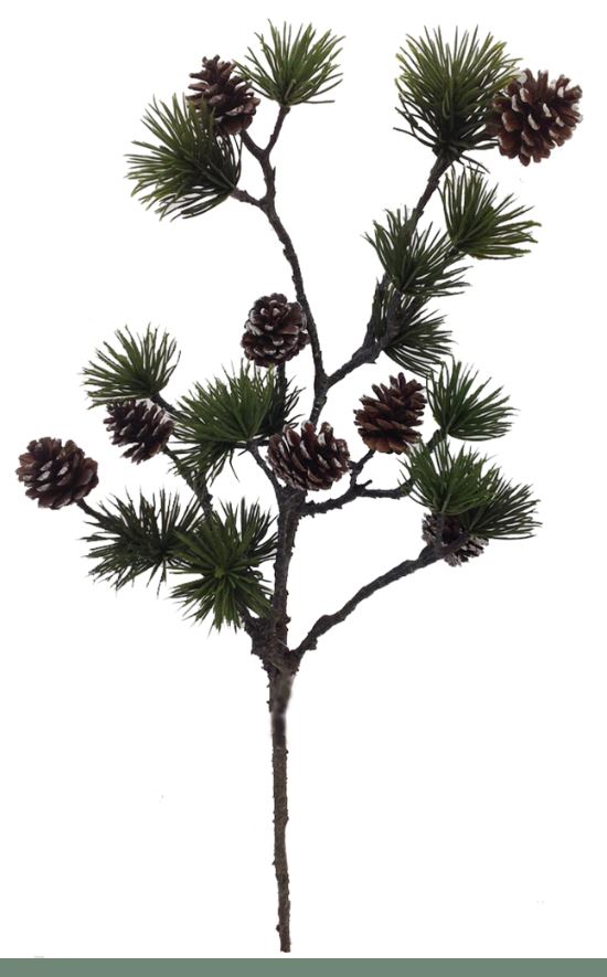 Pine Cone Natural - Spruce - 12 Pieces – Bella Marie