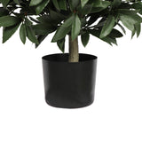 UV Bay Laurel Ball 24 Inch Topiary