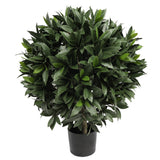 UV Bay Laurel Ball 24 Inch Topiary